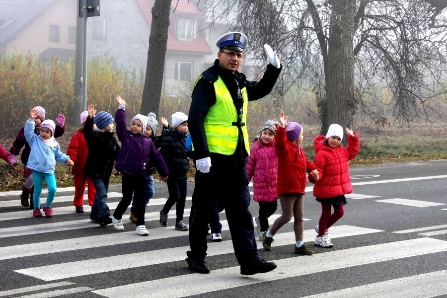 Akcja "Bezpieczny pieszy" - Zdjęcie główne