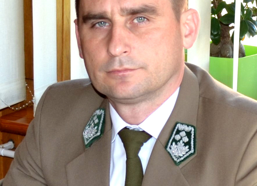 W międzyrzeckich lasach trwa sadzenie drzew - Zdjęcie główne