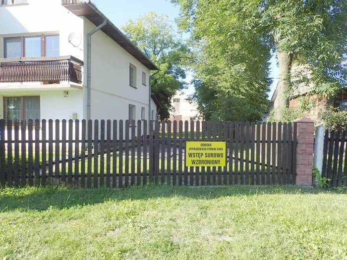 Wirus ASF w Sitnym - Zdjęcie główne