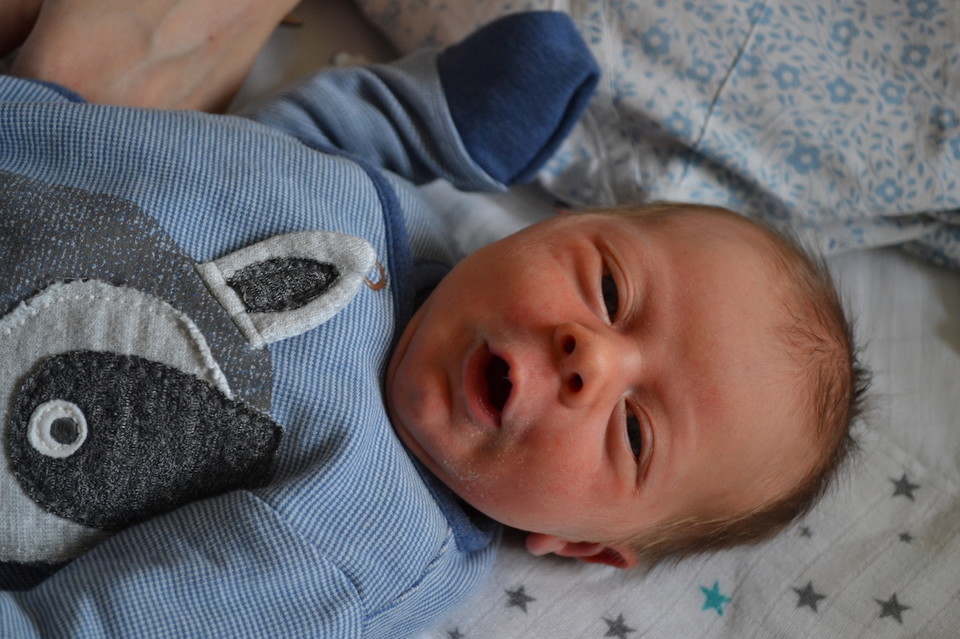 Noworodki - wydanie Wspólnoty nr 5 (31 stycznia-6 luty) Międzyrzec Podlaski - Zdjęcie główne