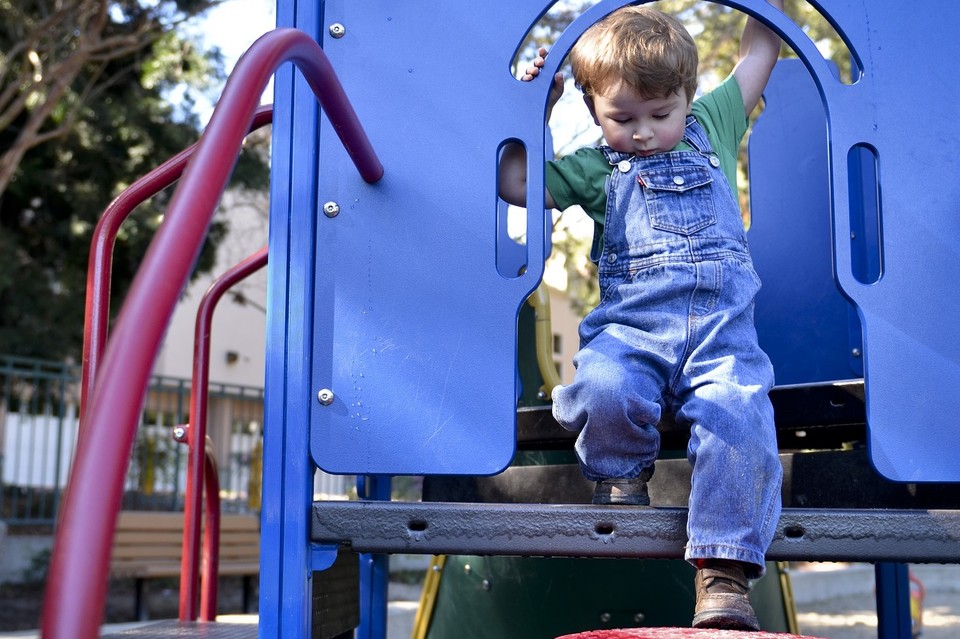 Otwarta strefa aktywności w Parku Potockich - Zdjęcie główne