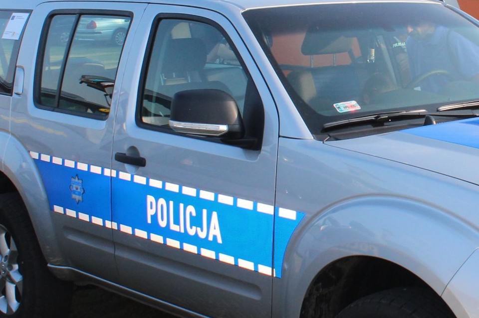 Złodzieje trafili w ręce w Policji - Zdjęcie główne