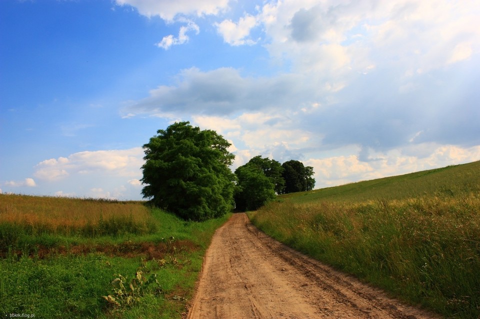 Na wsi żyje się coraz trudniej - Zdjęcie główne