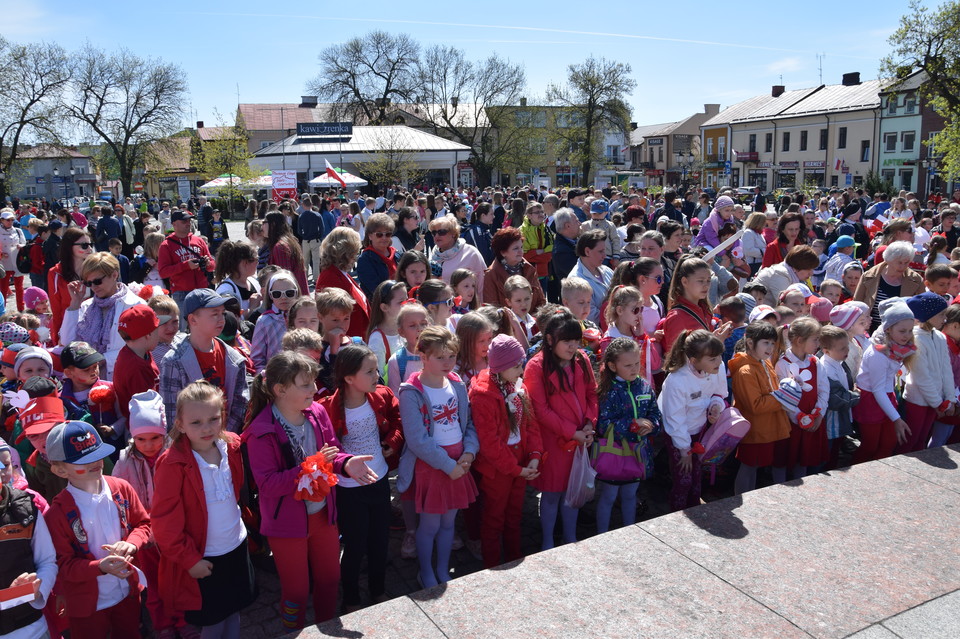 Dzień Flagi w Międzyrzecu - Zdjęcie główne