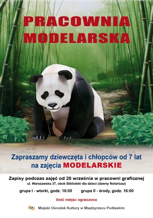 Międzyrzec Podl.: MOK zaprasza na zajęcia - Zdjęcie główne