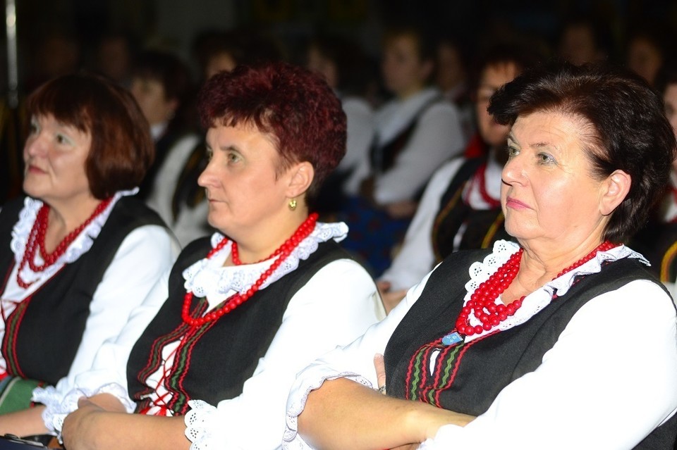 X Powiatowe Spotkania Twórców Wsi. Kąkolewnica - Zdjęcie główne