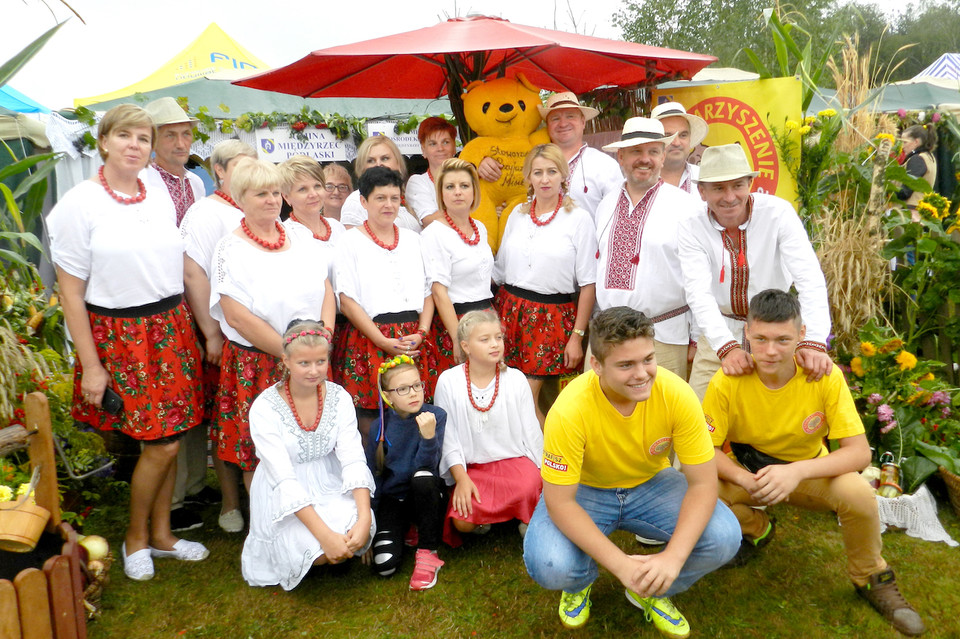 Przyjazne Misie pokazały jak się lepi pierogi - Zdjęcie główne