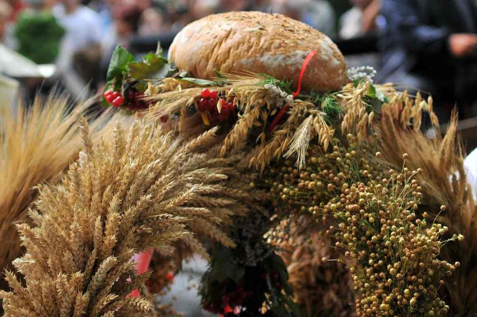 Konkurs na "Najpiękniejszy Wieniec Dożynkowy" - Zdjęcie główne