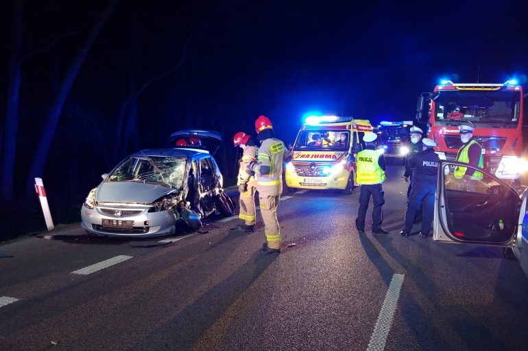 Wtargnięcie zwierzęcia na jezdnię przyczyną wypadku - Zdjęcie główne