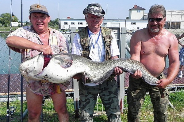 31kg sum wygrał maraton! - Zdjęcie główne