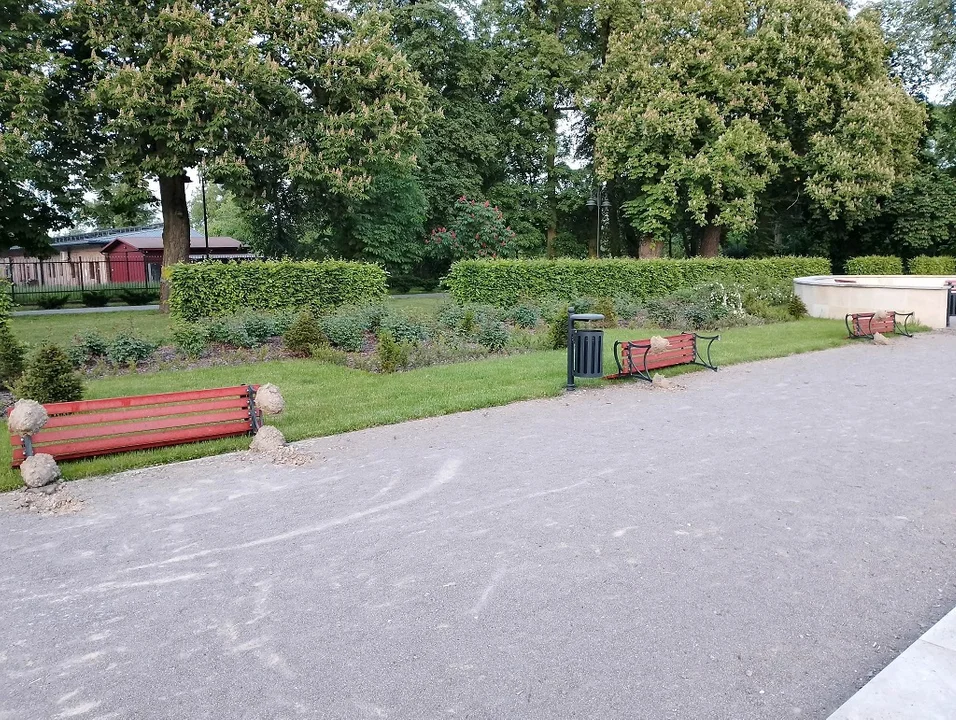 Międzyrzec Podlaski: Bez powodu wyrwali ławki w parku miejskim - Zdjęcie główne