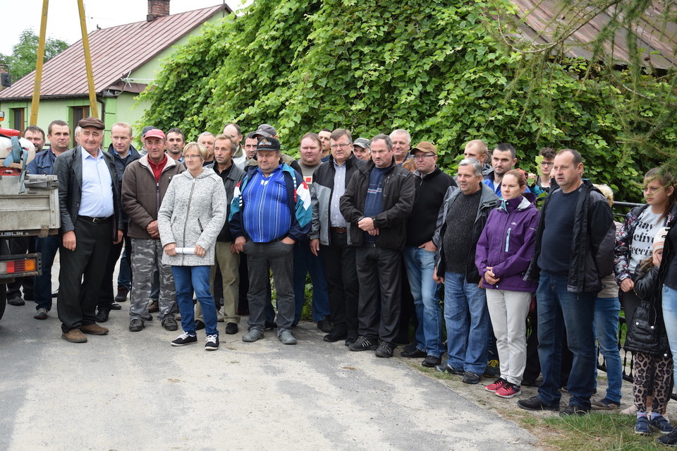 Pierwsza udana akcja protestacyjna rolników przeciwko likwidacji świń  - Zdjęcie główne