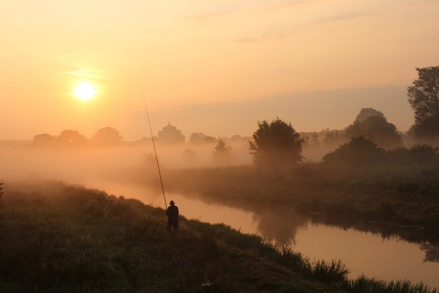 Laureaci konkursu fotograficznego „Przyroda Miasta w obiektywie” - Zdjęcie główne