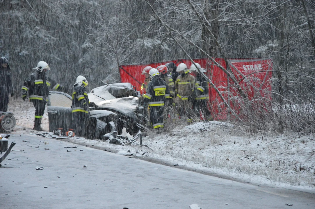 Wypadek w Skokowie: Czołowe zderzenie Alfa Romeo z ciężarówką. Jedna osoba nie żyje (ZDJĘCIA) - Zdjęcie główne