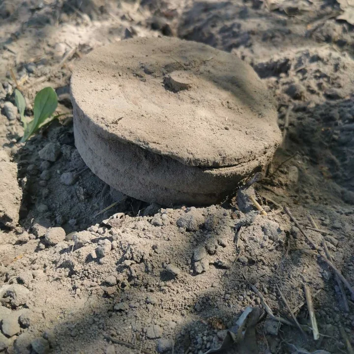 Gmina Łaziska: Podczas pracy w polu znalazł minę przeciwpiechotną - Zdjęcie główne