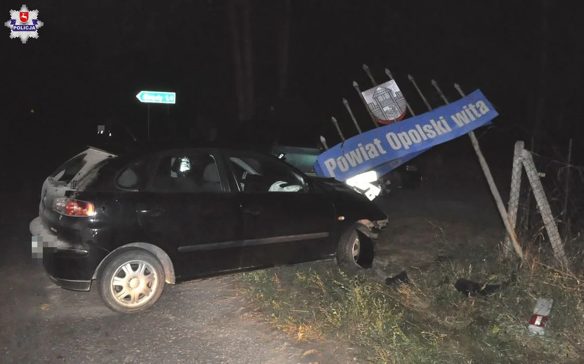 Borów Kolonia: Pijany jak bela kierowca seata zaliczył spotkanie z witaczem - Zdjęcie główne