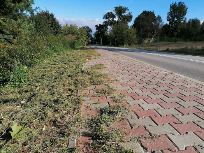 Zarząd Dróg posprzątał chodnik. Mieszkańcy: Zrobili byle jak - Zdjęcie główne