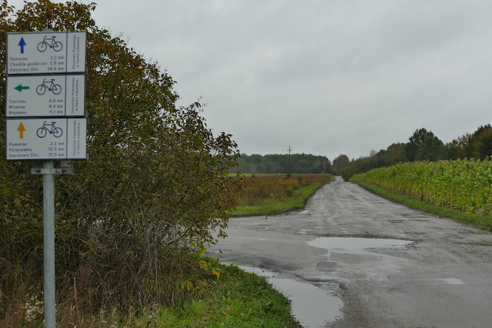 Nowe nawierzchnie dróg gminnych jeszcze w tym roku - Zdjęcie główne