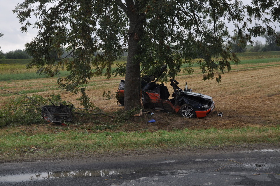 Opel owinął się wokół drzewa - Zdjęcie główne