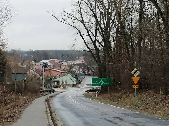 Chodel: Kikuty drzew sieją strach na ul. Godowskiej. A władza nic z tego sobie nie robi - Zdjęcie główne