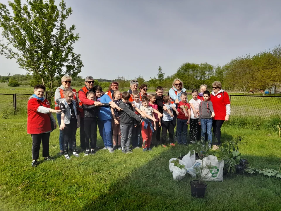 Opole Lubelskie: Ekologiczny Las Jedynki (ZDJĘCIA) - Zdjęcie główne