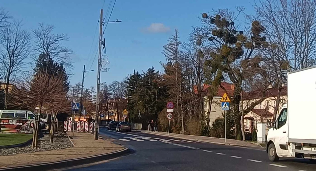 Opole Lubelskie: Pieszy potrącony na przejściu - Zdjęcie główne