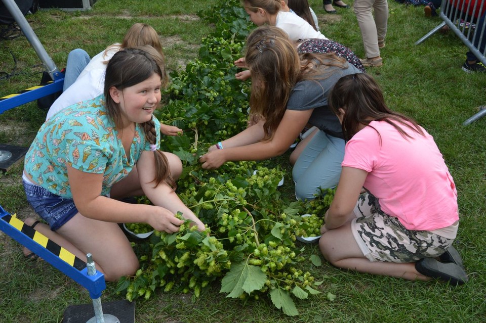 Chmielaki Nadwiślańskie Wilków 2018 (program) - Zdjęcie główne