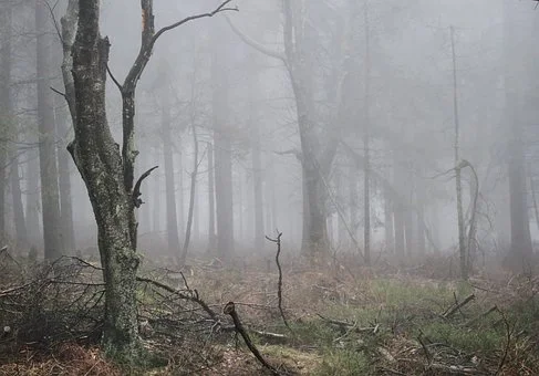 Opole Lubelskie: Mgły i chmury. Prognoza pogody na środę - Zdjęcie główne