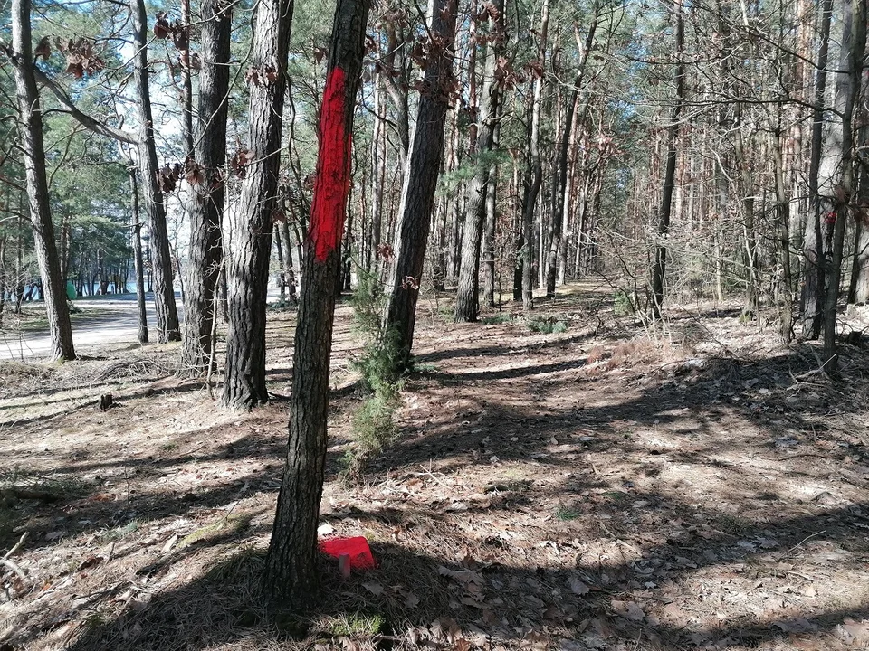 Chodel: Dym o sprzedaż działki nad zalewem - Zdjęcie główne