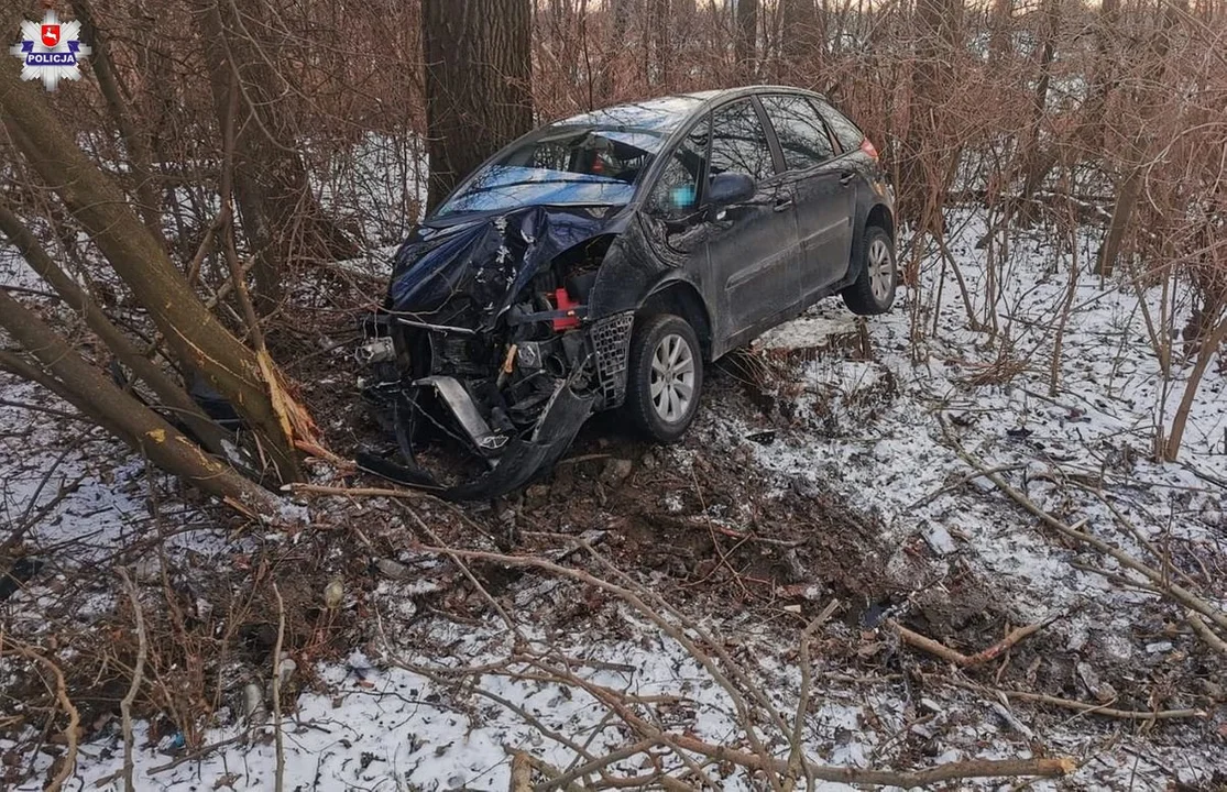 Wilków:  Pijana jak bela matka wiozła dzieci. Zatrzymała się na drzewie  - Zdjęcie główne