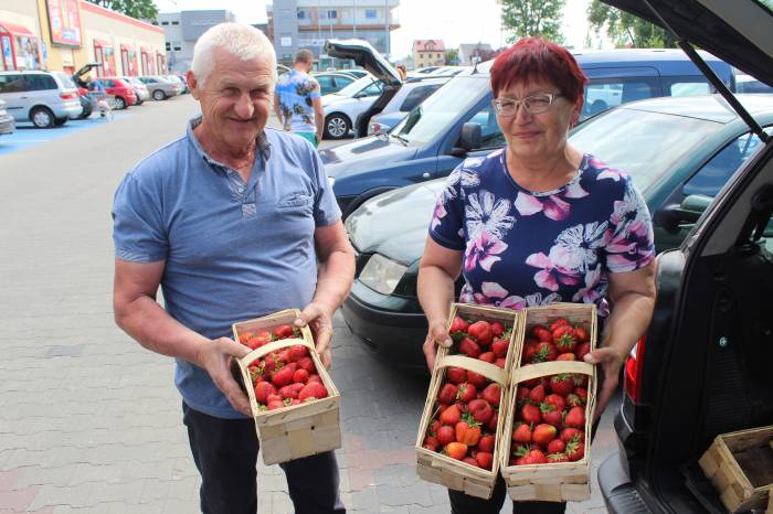 Z truskawek będą kokosy - Zdjęcie główne