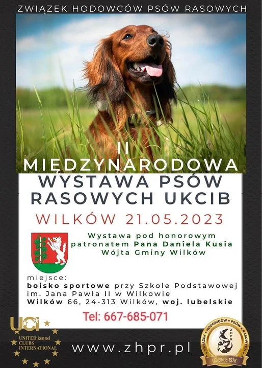 Powiat opolski: Kolejna wystawa psów rasowych w Wilkowie już w maju - Zdjęcie główne