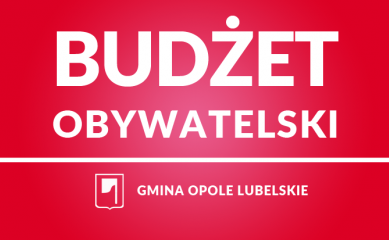 Ruszył nabór wniosków do Budżetu Obywatelskiego na 2022 rok - Zdjęcie główne