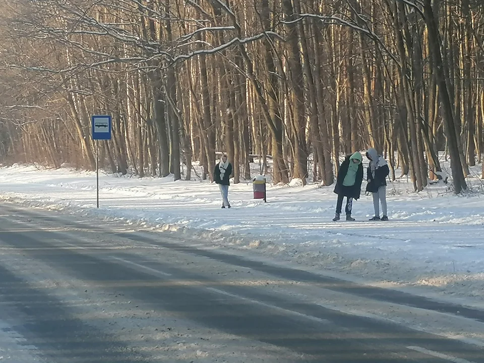 Poniatowa: Ludzie na przystanku marzną i mokną. Wiata pilnie potrzebna - Zdjęcie główne