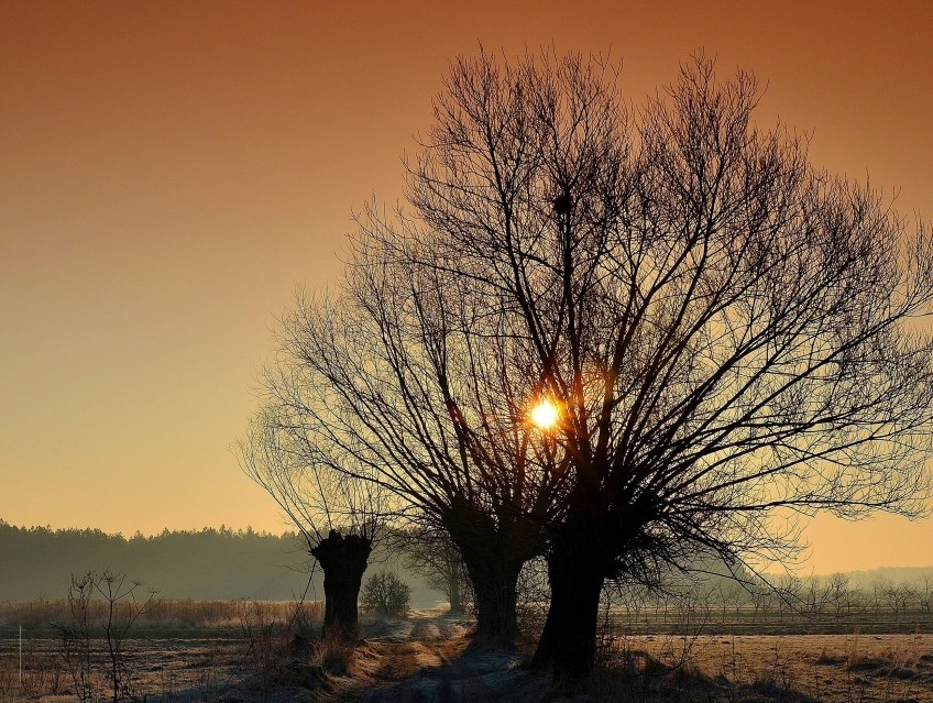 Wizje Natury - wernisaż wystawy fotografii - Zdjęcie główne