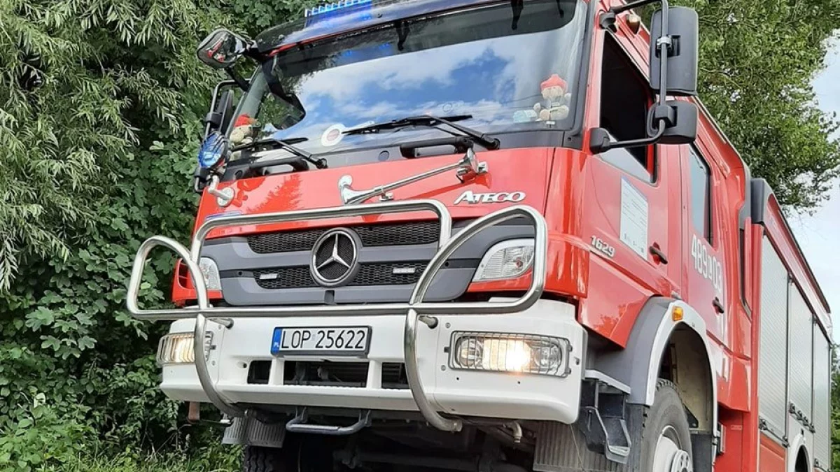 Józefów nad Wisłą: Zapalił się samochód - Zdjęcie główne