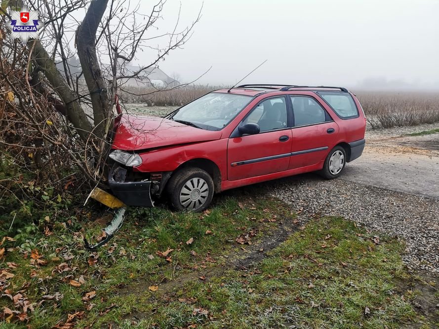 15-latek z Poniatowej wjechał w drzewo. Był pod wpływem alkoholu - Zdjęcie główne