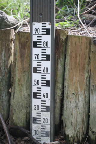 Najwięcej wody przybyło w Bystrzycy i Wieprzu. Przybywa wody w Wiśle. - Zdjęcie główne