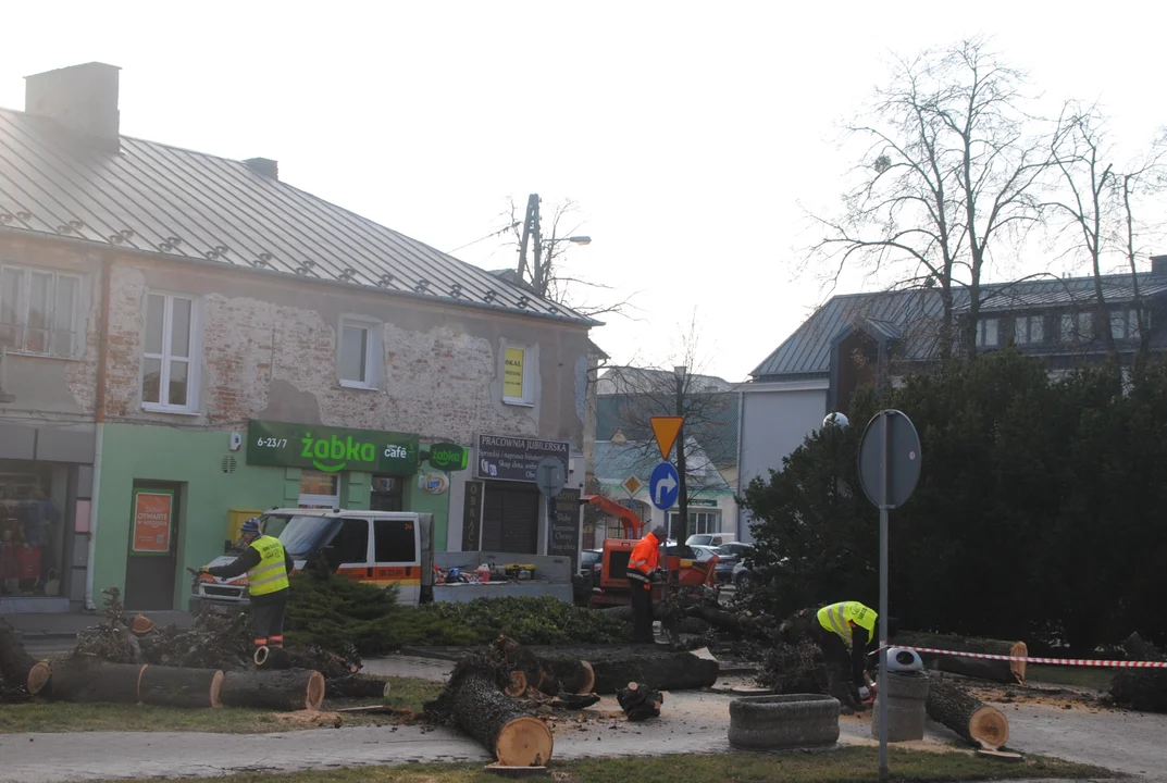 Opole Lubelskie: Szykują się do dalszej rewitalizacji. Wytną 28 drzew (ZDJĘCIA)  - Zdjęcie główne