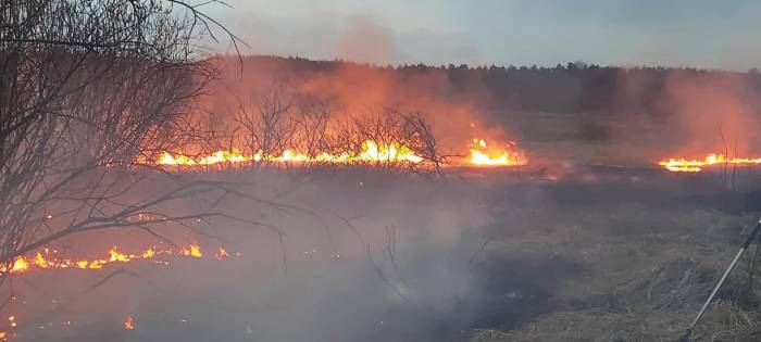 Zanim podpalisz trawy, zastanów się, ile zła wyrządzisz - Zdjęcie główne