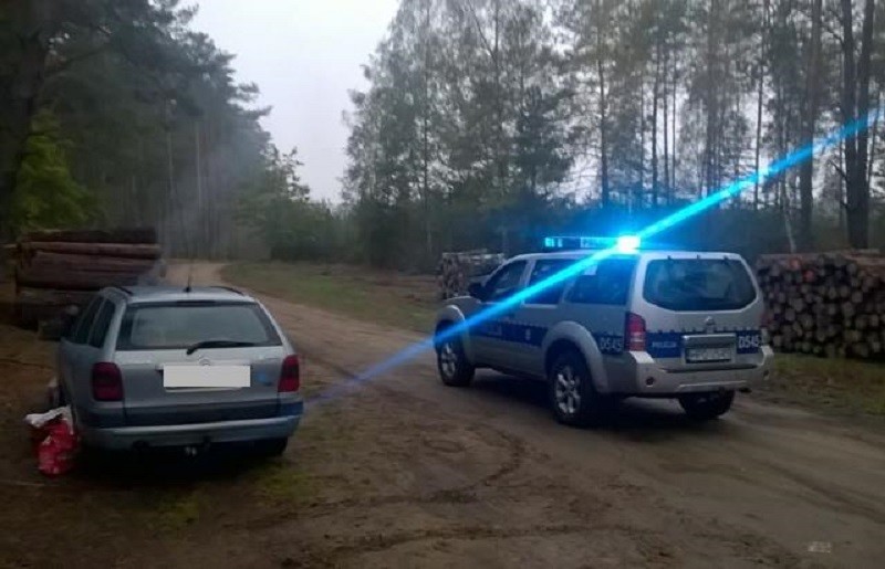 Wyjechał konnym zaprzęgiem na przejażdżkę. Zgubił się w lesie. - Zdjęcie główne