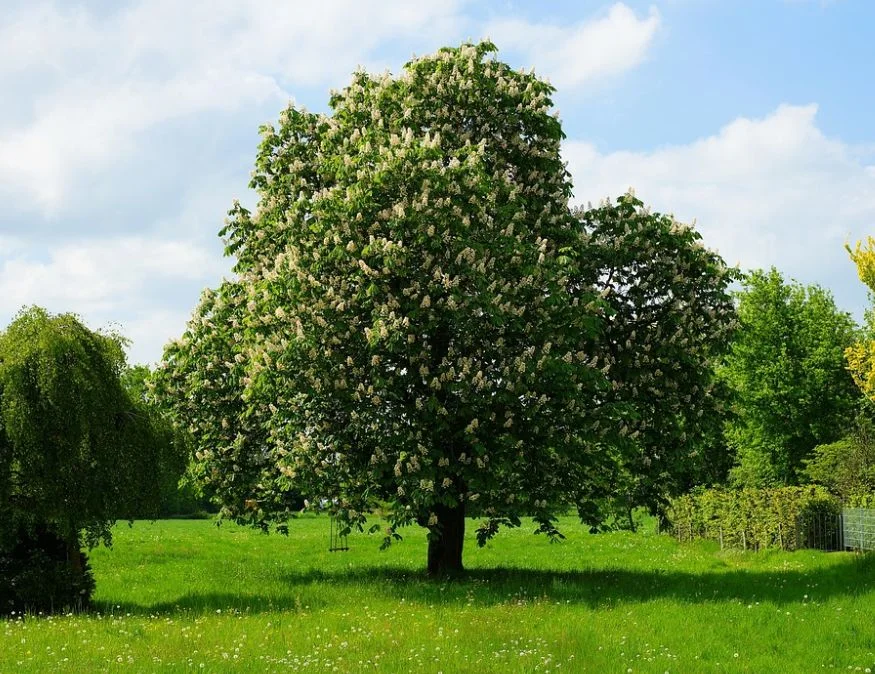 Gmina z powiatu parczewskiego zaczyna prace nad planem zagospodarowania przestrzennego - Zdjęcie główne