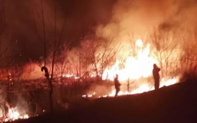 Powiat parczewski: nocny pożar w Siemieniu - Zdjęcie główne