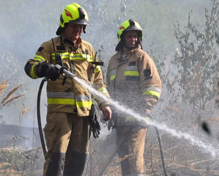Powiat parczewski: ogromny pożar lasu. Strażacy trzeci dzień walczą z ogniem - Zdjęcie główne
