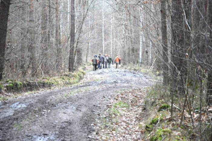 Znowu pokrzyżowali plany myśliwych - Zdjęcie główne