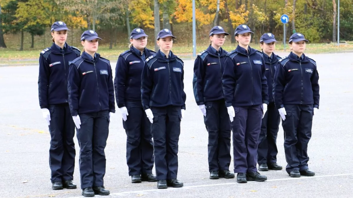 Parczewska policja ostrzega! Uważaj w czasie hamowania - Zdjęcie główne