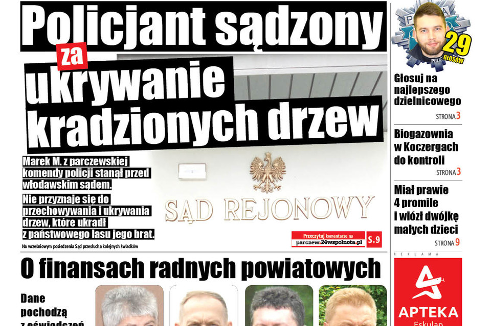 Policjant sądzony za ukrywanie kradzionych drzew - Zdjęcie główne