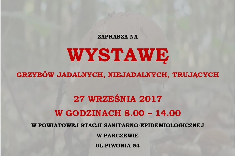 Wystawa grzybów w parczewskim Sanepidzie - Zdjęcie główne