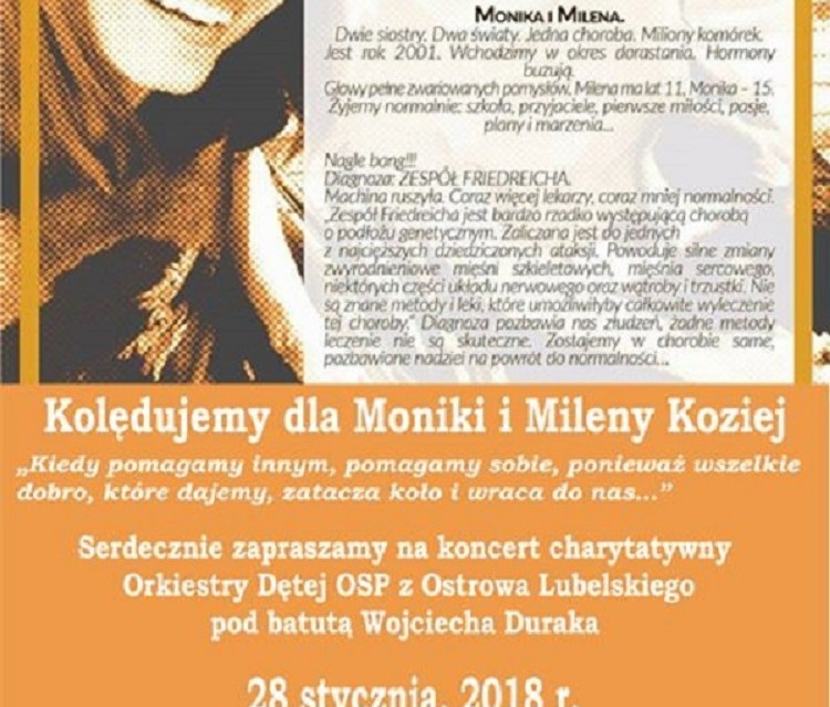 Koncert charytatywny w Parczewie - Zdjęcie główne