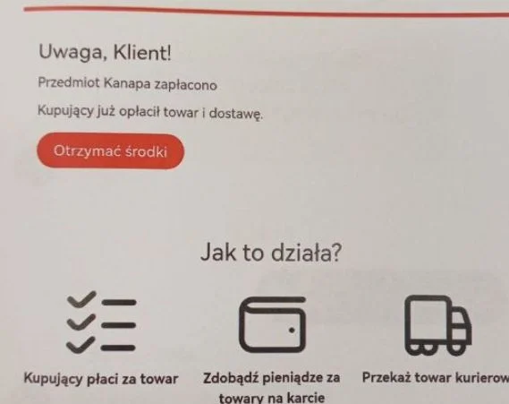 Powiat parczewski. Stracił duże pieniądze na sprzedaży kanapy - Zdjęcie główne